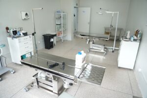 Clínica Animal terá horários especiais no Carnaval