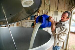 Dia Internacional do Leite destaca importância da cadeia produtiva para a economia de Rondônia