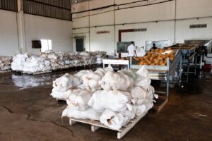 Cooperativismo fortalece o campo e impulsiona desenvolvimento em Porto Velho