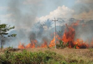 Colunas de fumaça voltam a ser vistas em Porto Velho no início da estiagem