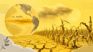 El Niño pode reduzir produtividade da safra 2026/27, alerta secretário